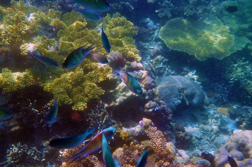 Balaibinda Lodge Đảo Đảo Coron Ngoại thất bức ảnh