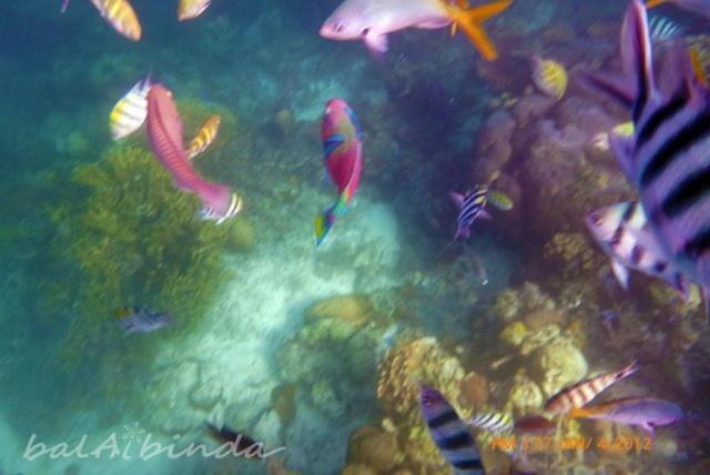 Balaibinda Lodge Đảo Đảo Coron Ngoại thất bức ảnh