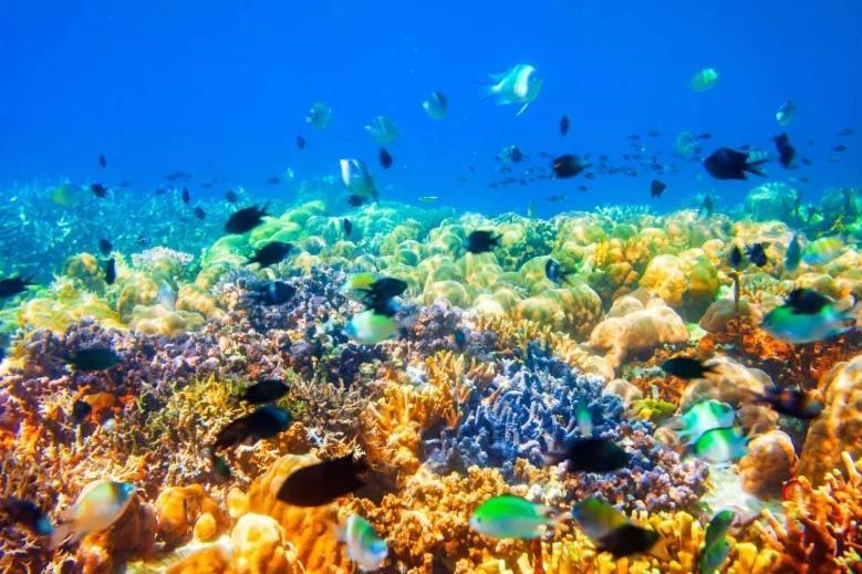 Balaibinda Lodge Đảo Đảo Coron Ngoại thất bức ảnh